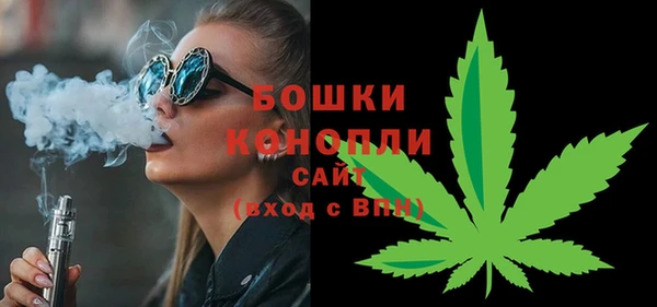 эйфоретик Арсеньев