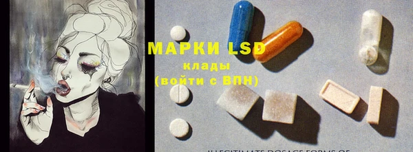 эйфоретик Арсеньев