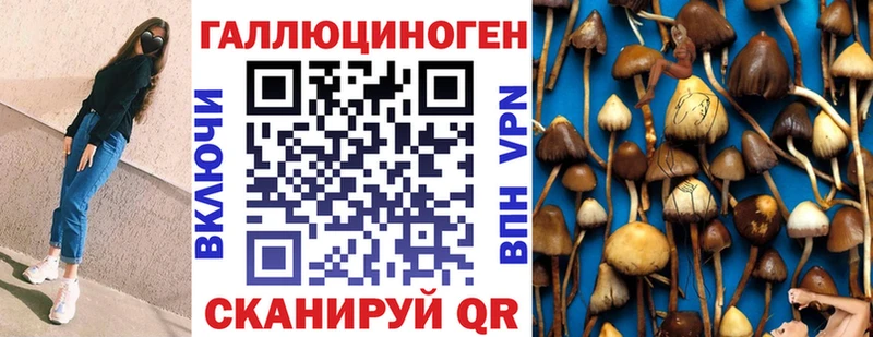 shop официальный сайт  OMG рабочий сайт  Баймак  сколько стоит  Псилоцибиновые грибы Psilocybine cubensis 